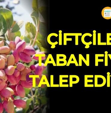 Çiftçiler antep boz fıstık taban fiyat düzenlemesi