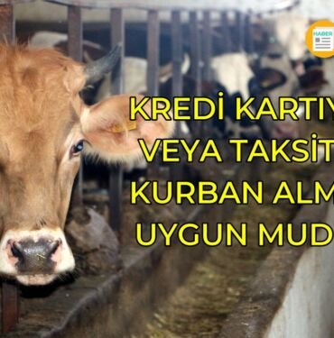 Kredi kartıyla taksitle kurban kesmek olur mu?