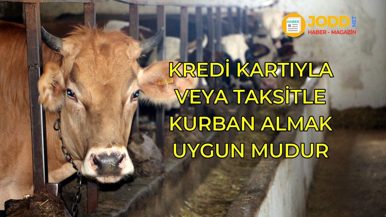 Kredi kartıyla taksitle kurban kesmek olur mu?