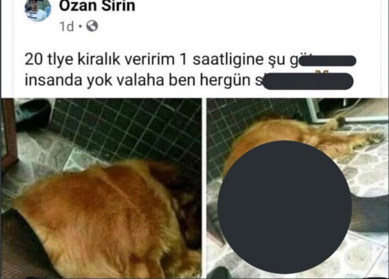 Ozan Şirin kimdir? Köpek paylaşımı resimleri