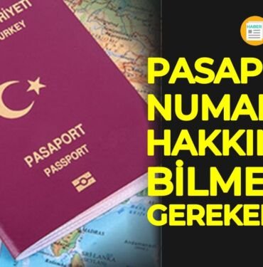 pasaport numarası nedir