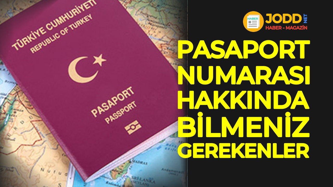 pasaport numarası nedir