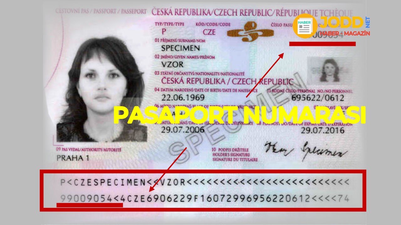 pasaport numarası nerede yazar
