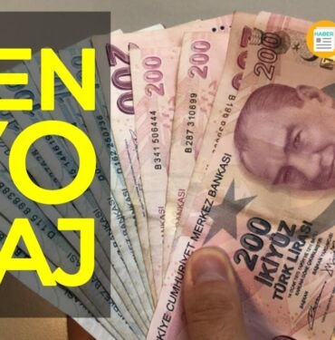 senyoraj nedir