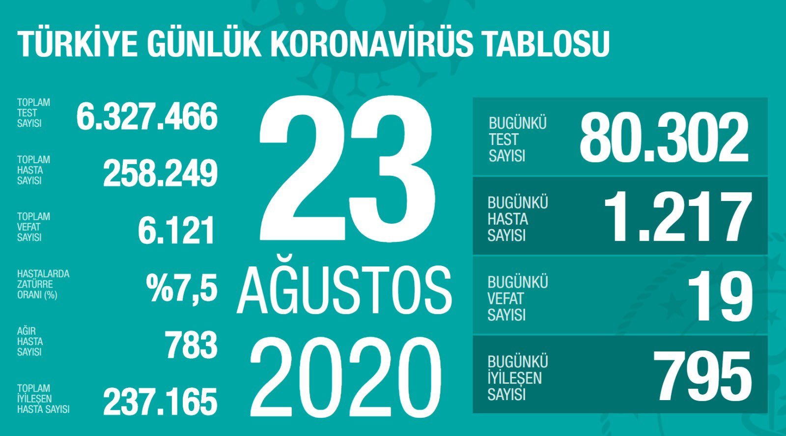 23 ağustos 2020 koronavirüs tablosu