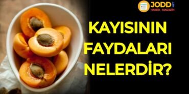 kayısının faydaları nelerdir