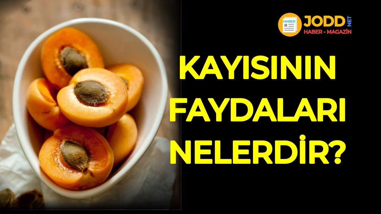 kayısının faydaları nelerdir