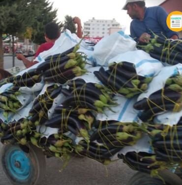 Şanlıurfa patlıcan çuval satış fiyatı