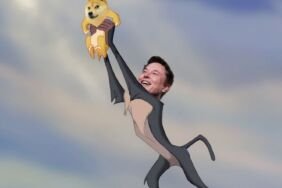 Elon Musk Dogecoin