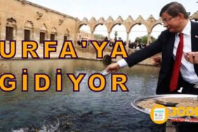 ahmet davutoglu gelecek partisi sanliurfa 2