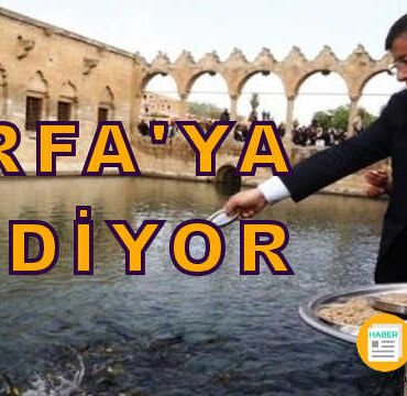 ahmet davutoglu gelecek partisi sanliurfa 2
