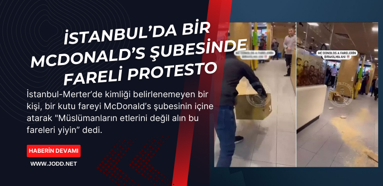 istanbul fareli mcdonalds protestosu