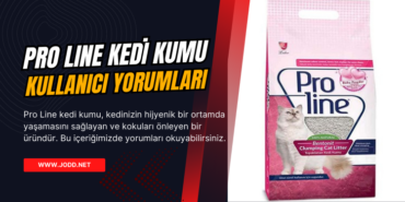 pro line kedi kumu nasil yorum