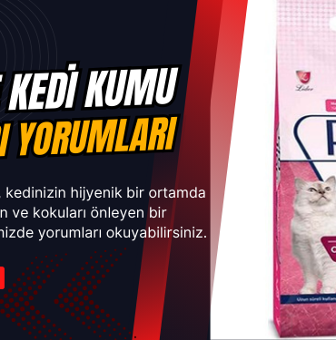 pro line kedi kumu nasil yorum