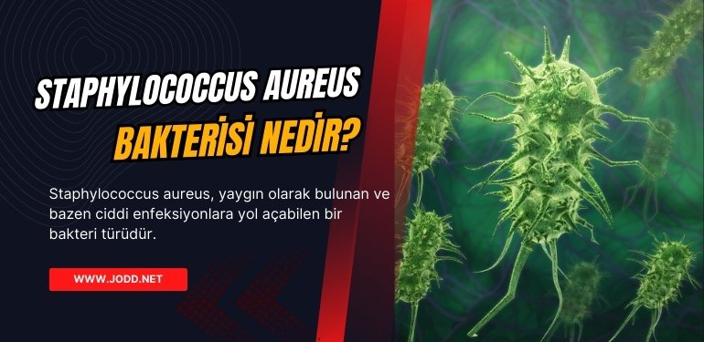 Staphylococcus aureus nedir