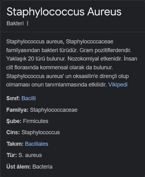 Staphylococcus aureus nedir