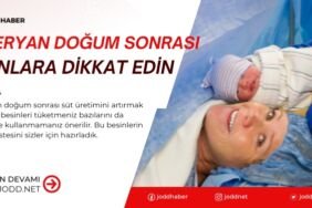 sezeryan dogum sonrasi sut yapan yiyecekler