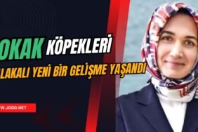 KUBRA GURAN YIGITBASI SOKAK KOPEKLERI