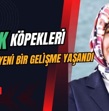 KUBRA GURAN YIGITBASI SOKAK KOPEKLERI