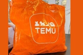 temu guvenli mi