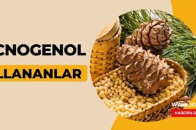 Pycnogenol kullananlar