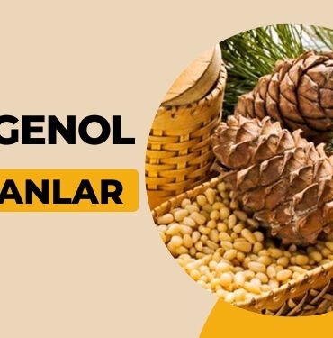 Pycnogenol kullananlar