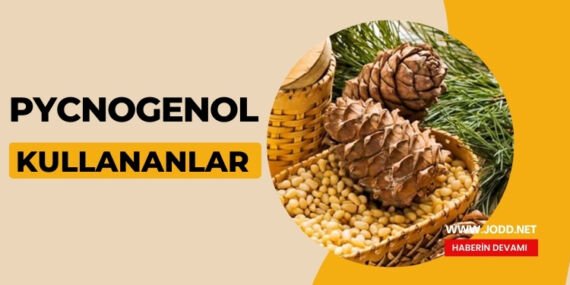 Pycnogenol kullananlar