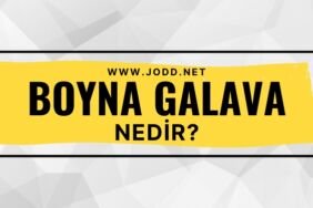 boyna galava nedir