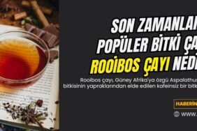 rooibos cayi kullananlarin yorumlari